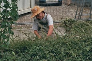 Ausbildung für junge Menschen Gartenarbeiten